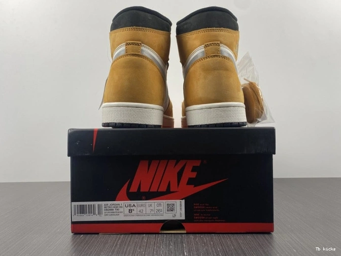 Reps TBK 1 Jordan High Element Light DB2889-700 Curry Gore-Tex 0806